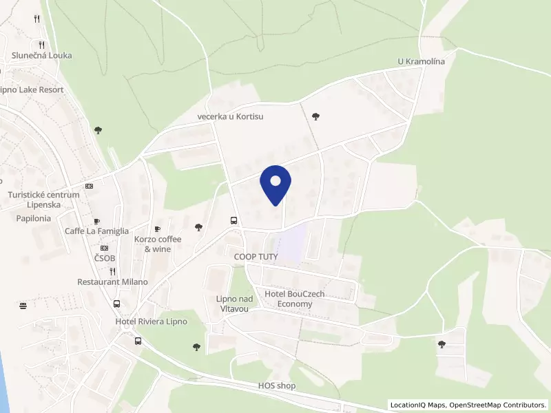 ELV SERVIS s.r.o.