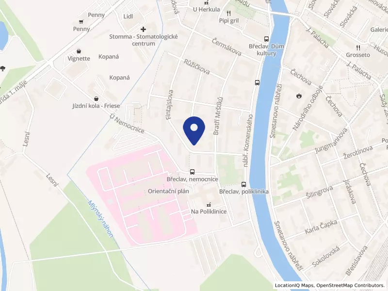 Bytové družstvo Fintajslova 47 a 49, Břeclav, družstvo