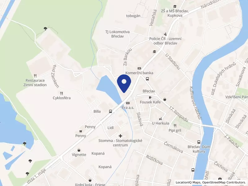 ZFP Craiova s.r.o.