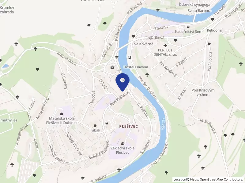 Folklorní soubor Růže, zapsaný spolek