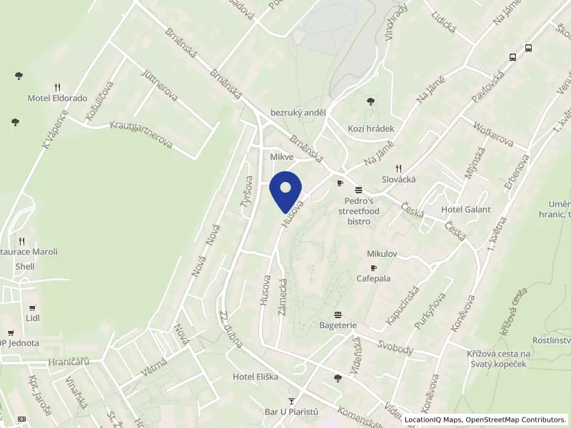 Husova Restaurant s.r.o.