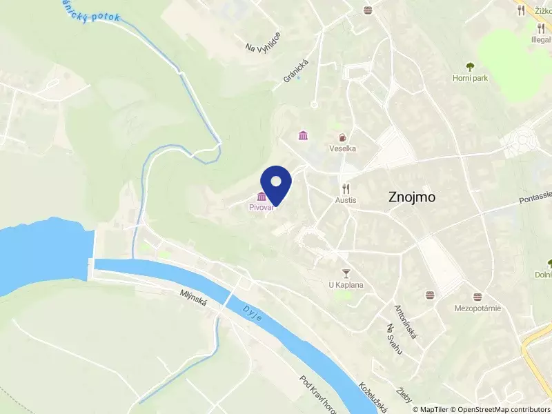 Umění do Znojma, z.s.