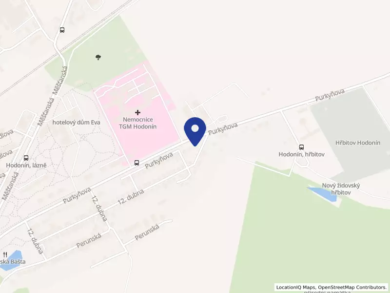 Nemocnice TGM Hodonín, příspěvková organizace