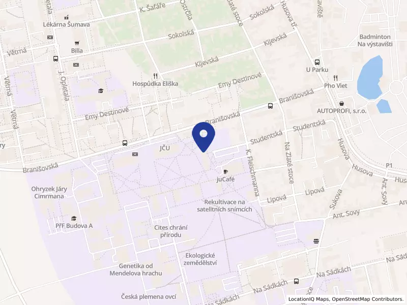 AIESEC České Budějovice