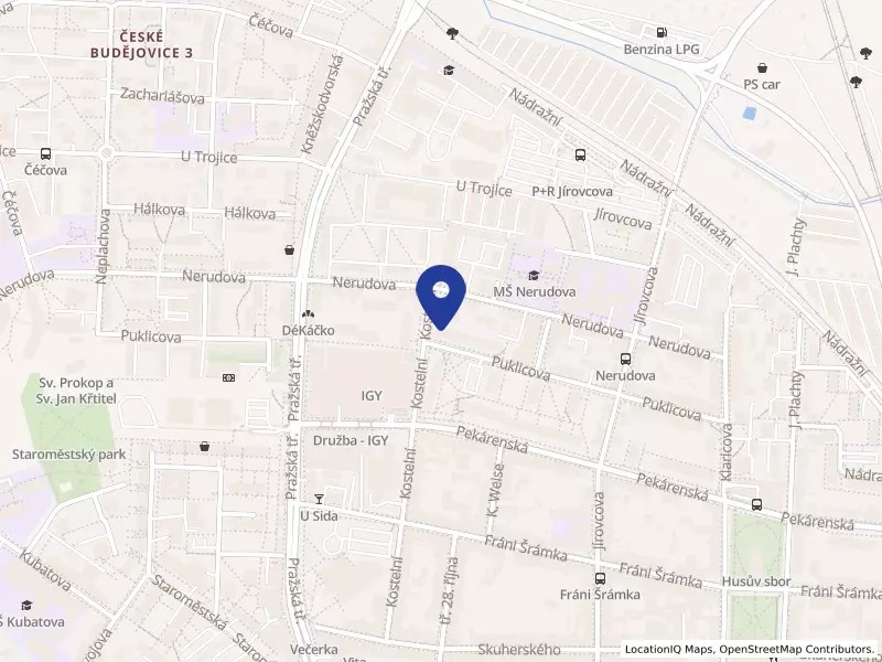 "Bytové družstvo: Puklicova 29,31"
