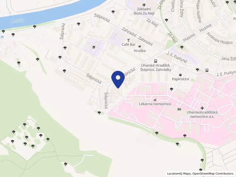Sociální služby Uherské Hradiště, příspěvková organizace