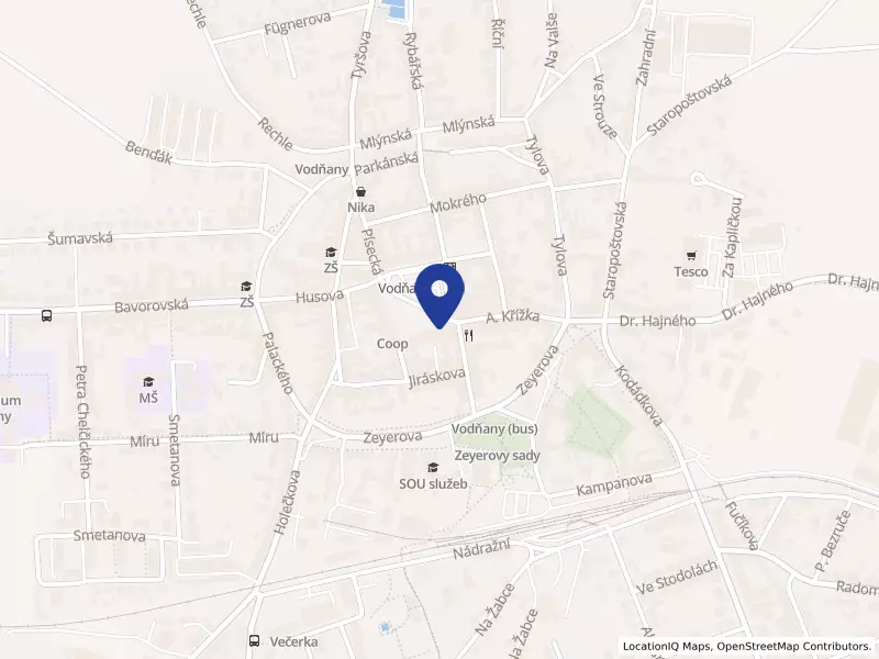 Komunitní služby Vodňanská ryba, z.ú.