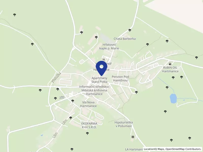 TĚLOVÝCHOVNÁ JEDNOTA SOKOL HARTMANICE spolek