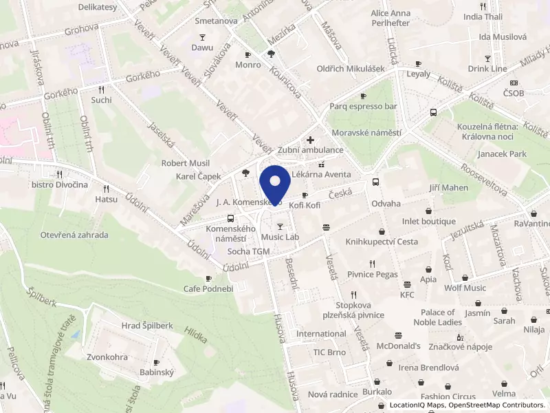 Institute for Business Language, s.r.o.