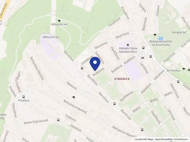 Kongregace Sester Učednic Božského Mistra