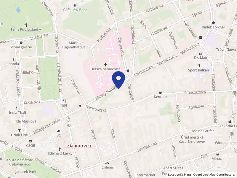 OMNIUM CAPITAL, o.c.p., a.s., odštěpný závod