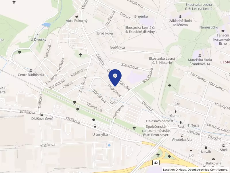 Bytové družstvo Třískalova 4, družstvo