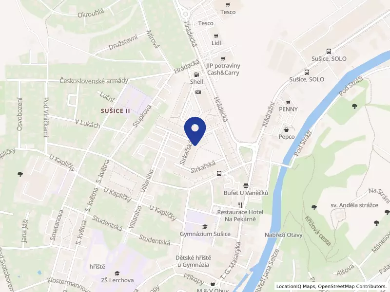 Telekomunikační služby o.p.s.