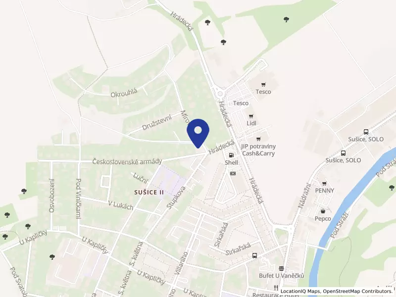 ŠK Sušice, spolek