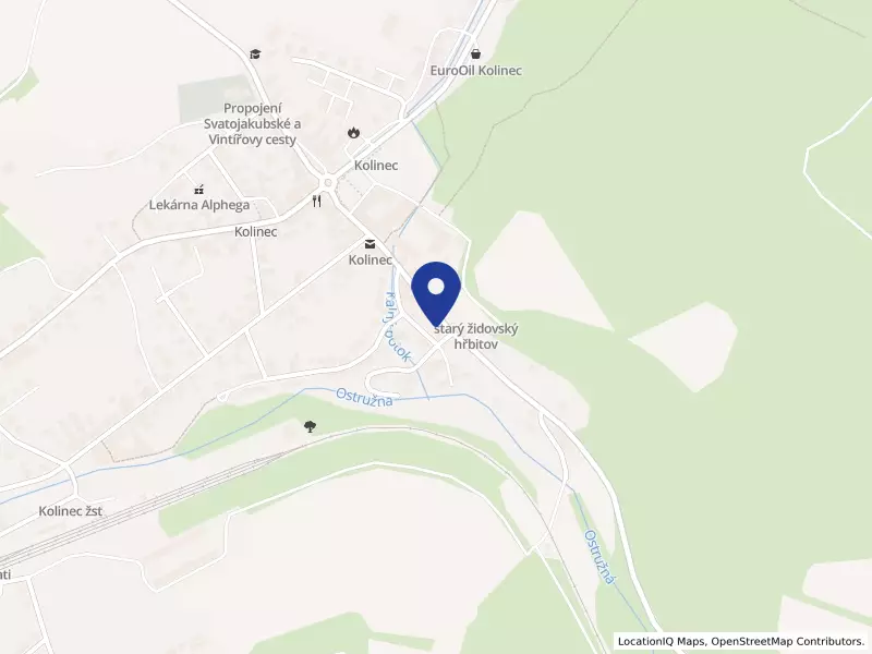 MCA Managment & Consulting Agency Inc., odštěpný závod Plzeň