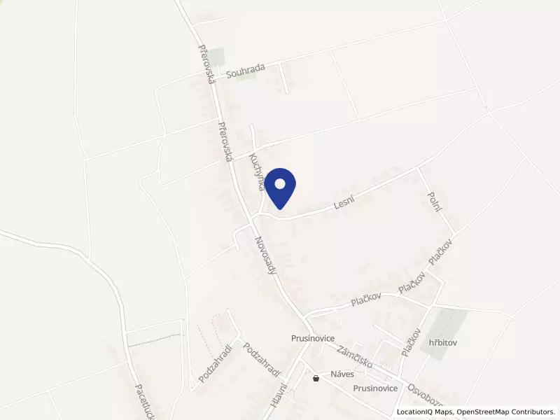 DBS Prusinovice s.r.o.