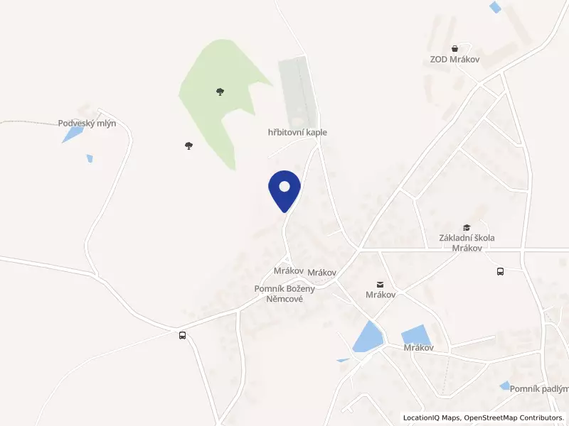 A.S.I. Auto UG (haftungsbeschränkt) & Co. KG, organizační složka podniku