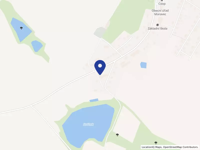 Kongregace sester III. řádu sv. Františka pod ochranou sv. Rafaela archanděla