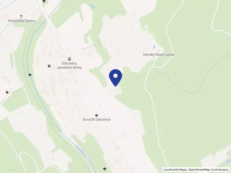 "Výtvarná skupina Petra Bezruče v Ostravici, spolek"