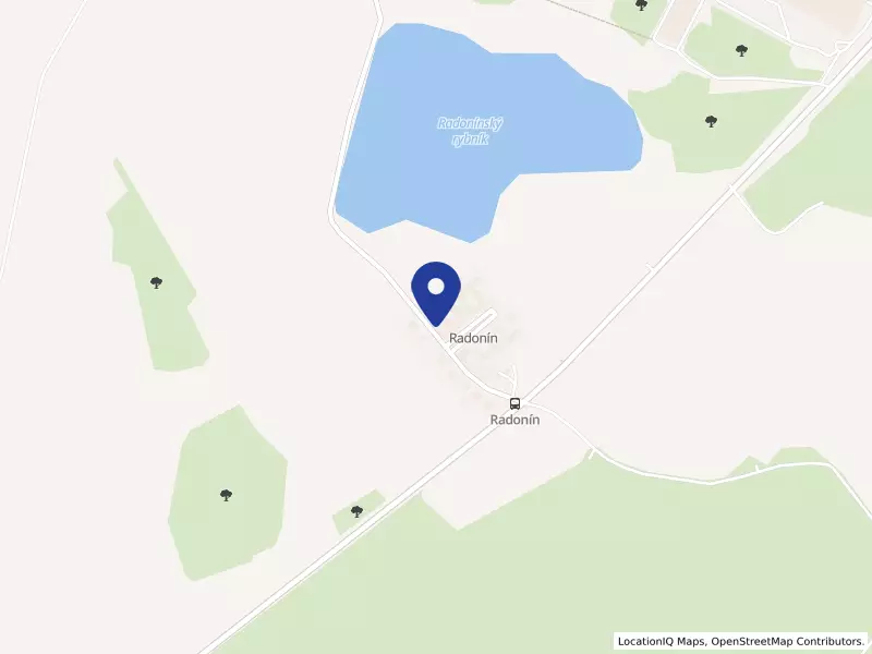 Dětský domov, Základní škola a Školní jídelna, Radenín 1