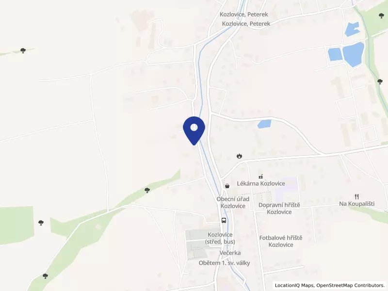 Česká asociace pink ponku, spolek