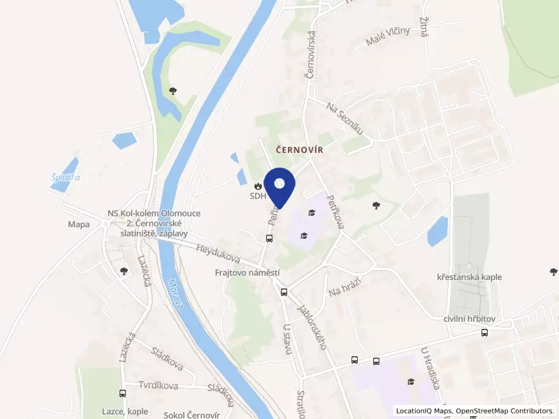 Bezpečnostní agentura ELSI-NERO s.r.o.