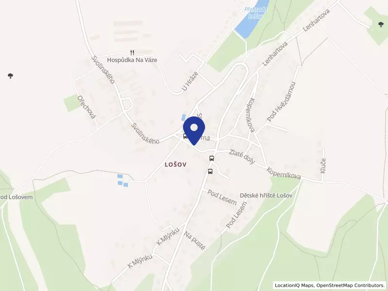 Renée Institut s.r.o.