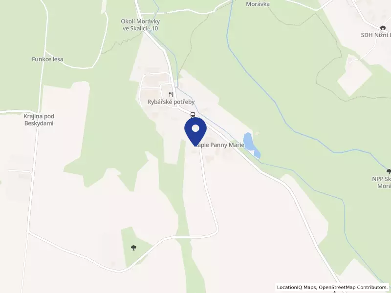 Vodní záchranná služba ČČK Frýdek-Místek, pobočný spolek