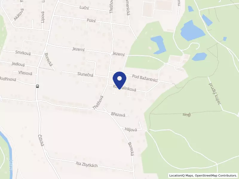 desiveli rent s.r.o.