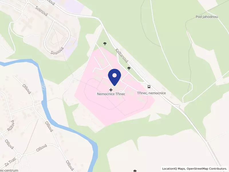 Nemocnice Třinec, příspěvková organizace