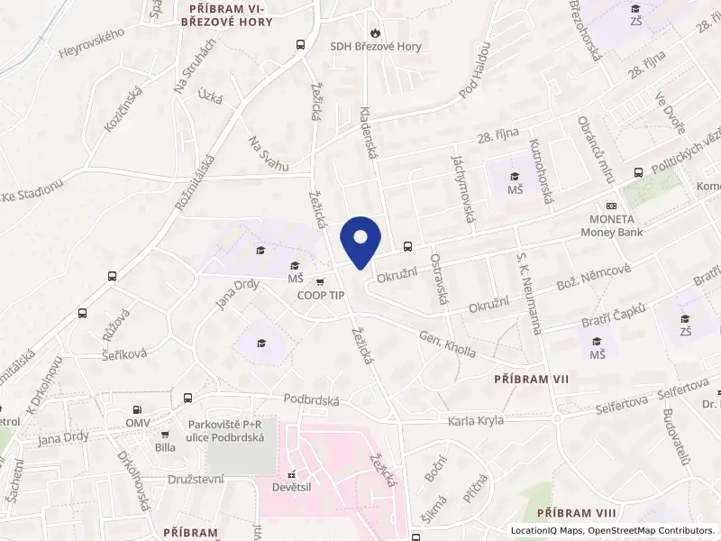 Česko - ruské centrum zapsaný spolek