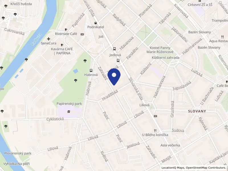 Asociace pro právní otázky imigrace, o.s.