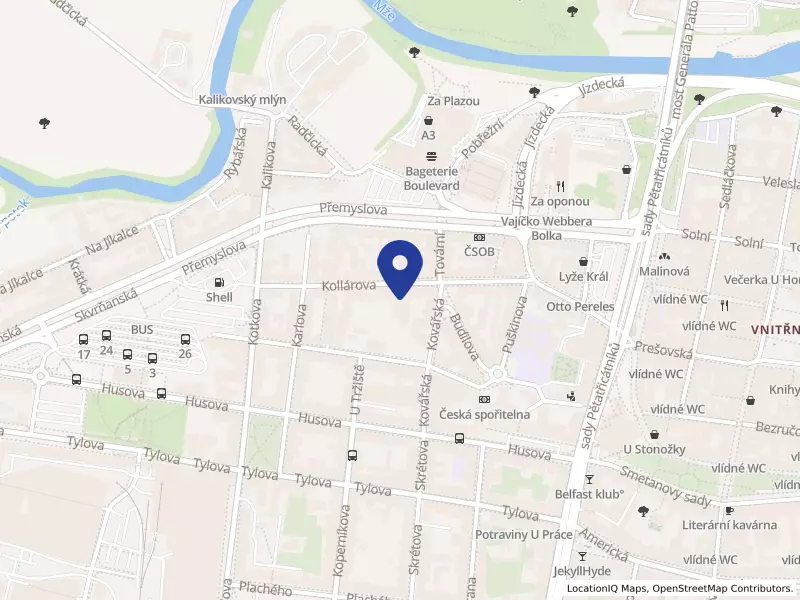 AIESEC Plzeň