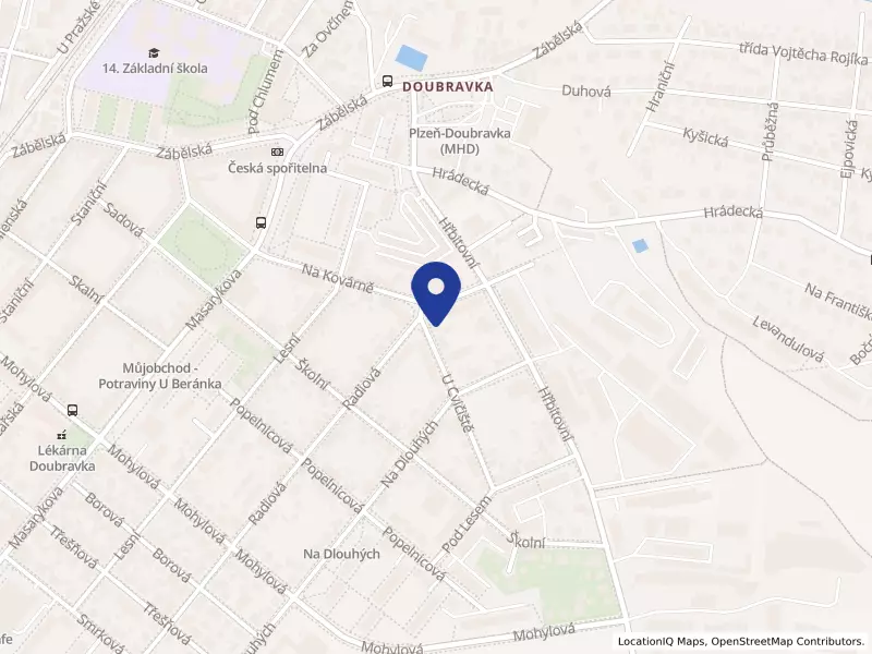 ZEOTH LIMITED, odštěpný závod