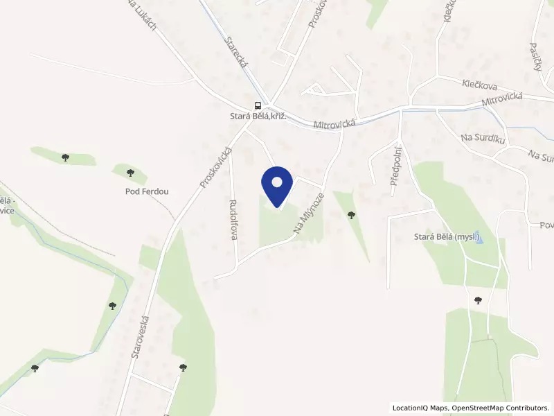 LKK Ostrava, spolek