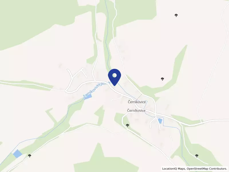 DŽV Rychnov nad Kněžnou a.s.