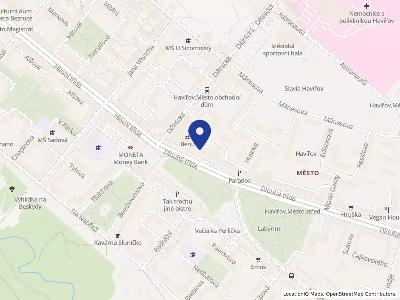 Faceing MEET YOUR VISION s.r.o.