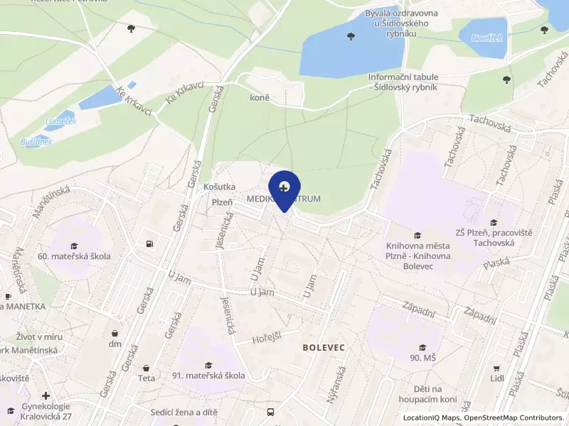 Bluedot Services s.r.o.