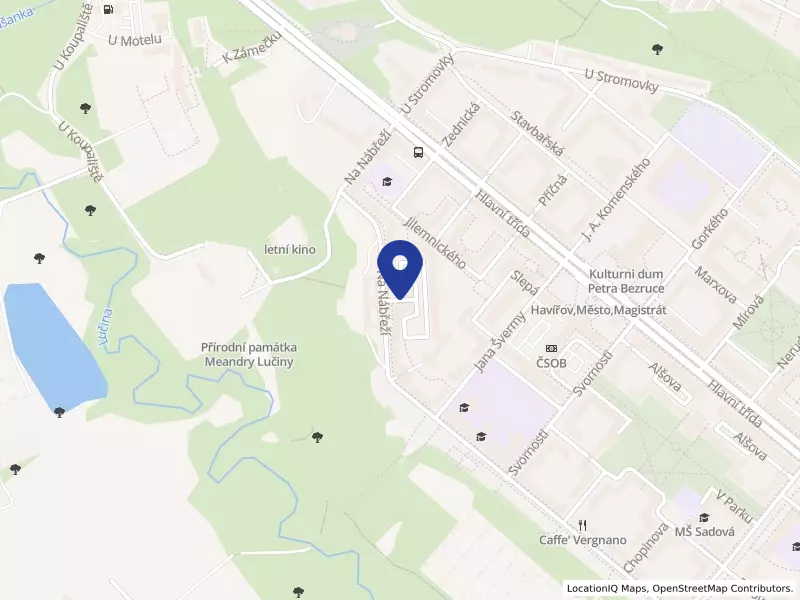 Základní umělecká škola Bohuslava Martinů, Havířov - Město, Na Schodech 1, příspěvková organizace