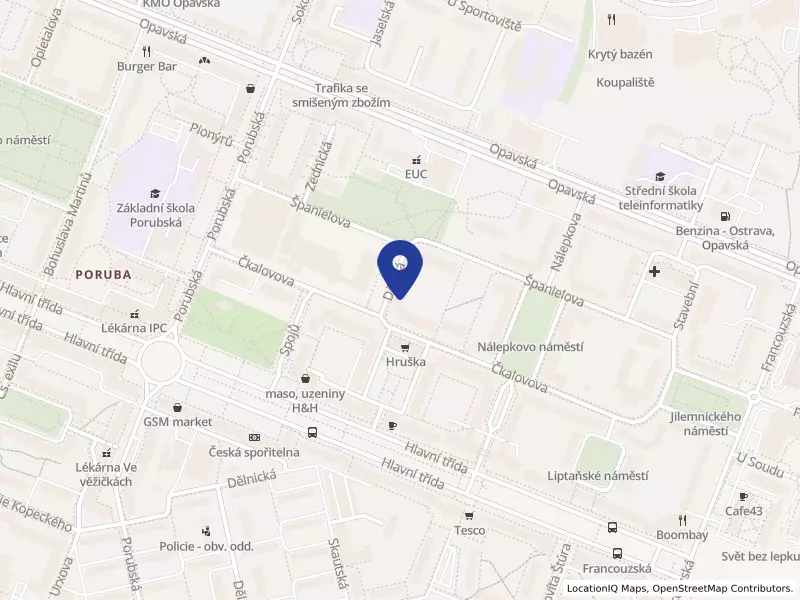 "Bytové družstvo Dům č. 919"