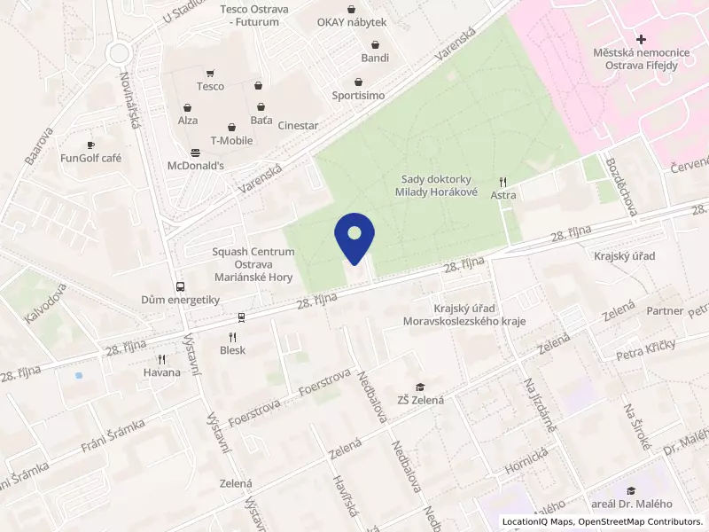 ELIM Ostrava, spolek