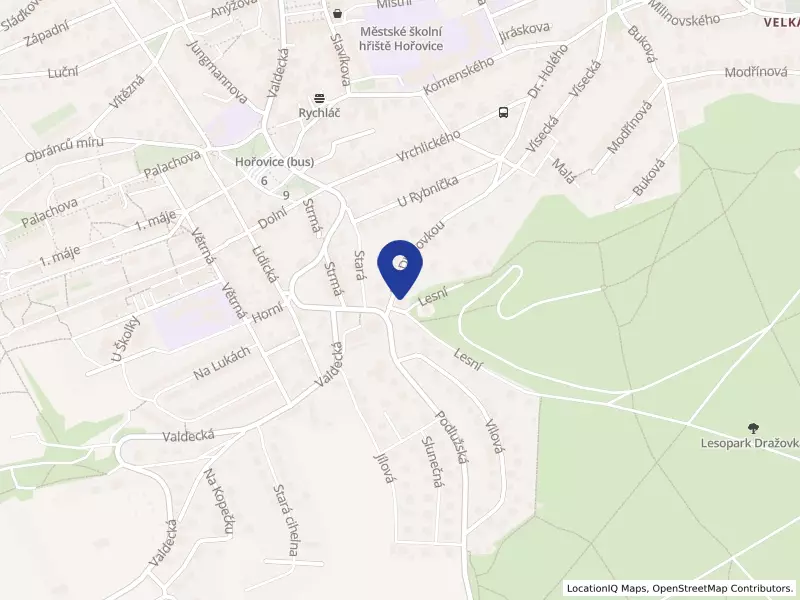 Digitus pro region, o.p.s.