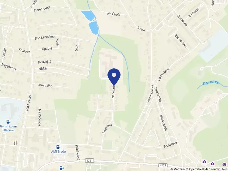 Základní škola, Ostrava-Slezská Ostrava, Na Vizině 28, příspěvková organizace
