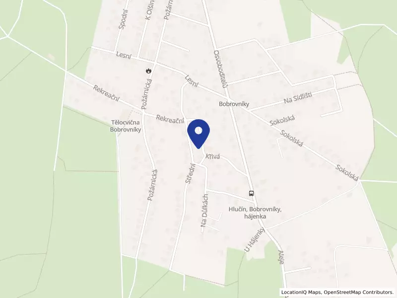 Nadační fond Evropský institut pro rozvoj inovací