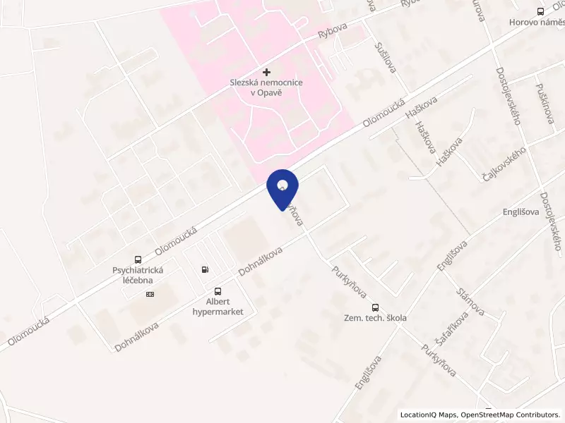 BYTOVÉ DRUŽSTVO PURKYŇOVA 4,6 OPAVA