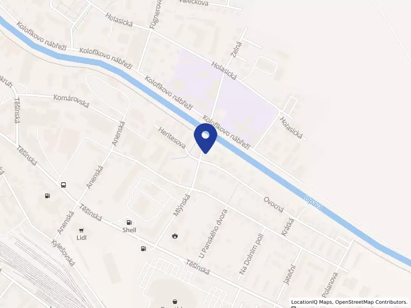 Montessori Opava, spolek