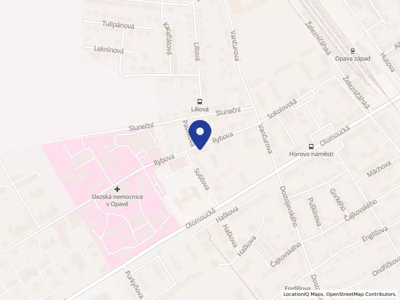 Bytové družstvo Sušilova - Rybova.