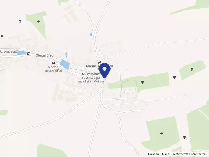 Základní škola a mateřská škola Mořina, okres Beroun, příspěvková organizace