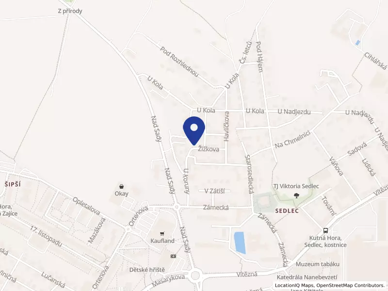 družstvo PRAGINA - služby cestovního ruchu