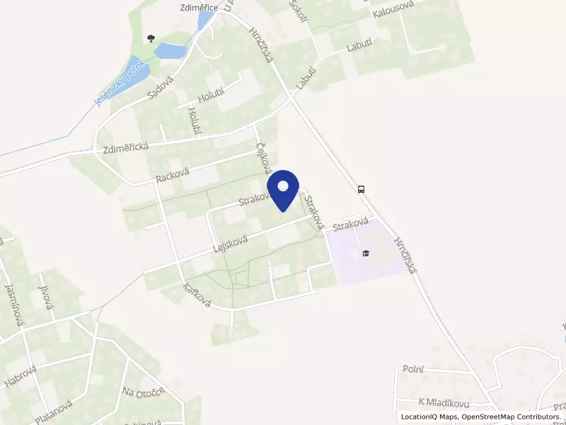 Sunny Canadian International School - Základní škola a Gymnázium, s.r.o.